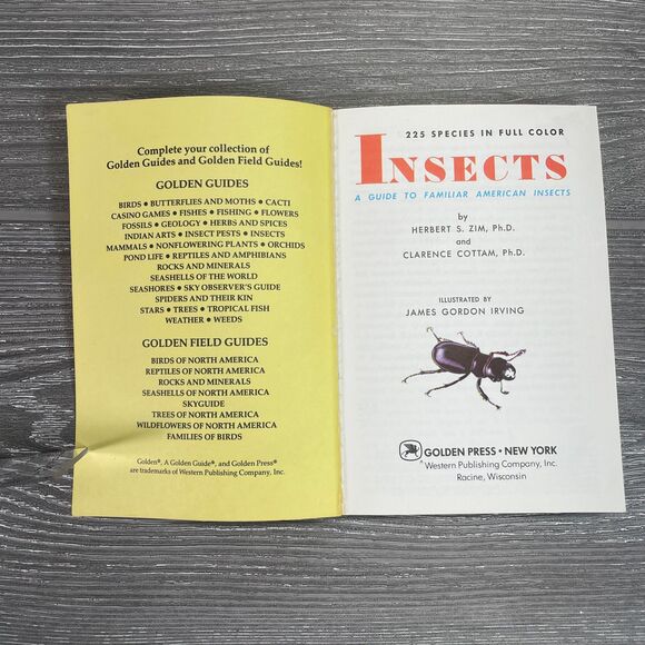 Vintage 1950s Golden Guide Insects Nature Book Detailed Realistic Illustrations - Picture 4 of 10